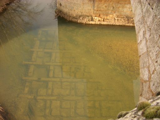 Los pilares del puente