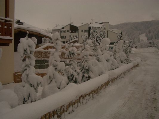 imgp9440.jpg